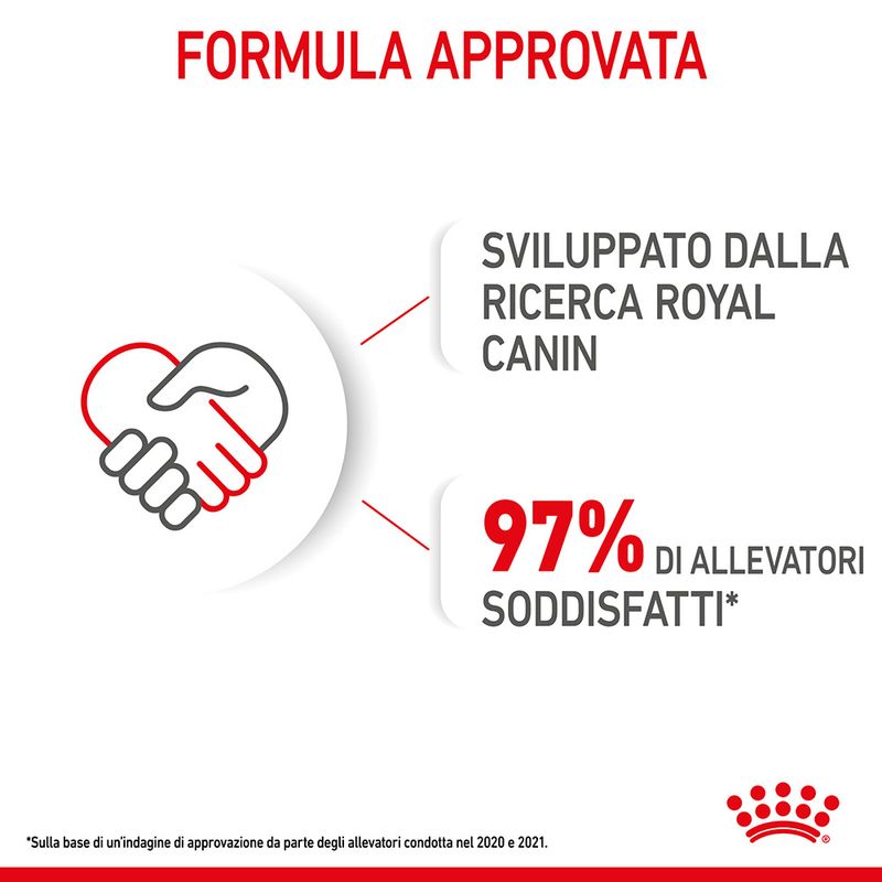 12x85g Royal Canin Mini Puppy - Cibo Umido per Cani Cuccioli 12x85g Royal Canin Mini Puppy - Cibo Umido per Cani Cuccioli